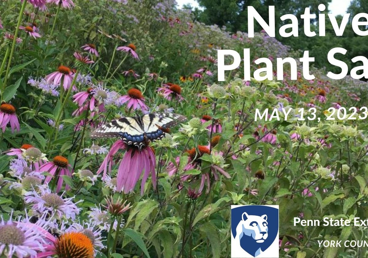 Penn State Master Gardeners of York CountyNative Plant Sale Macaroni