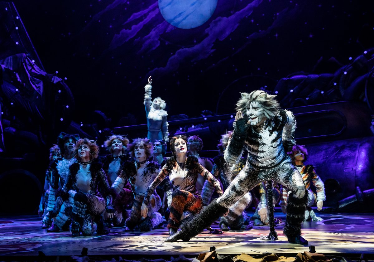 Cats' brings iconic musical to Fox Cities Performing Arts Center