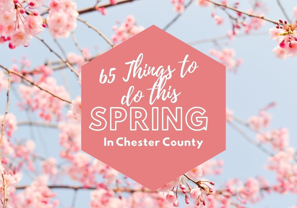 70+ Activities for Kids in Chester County