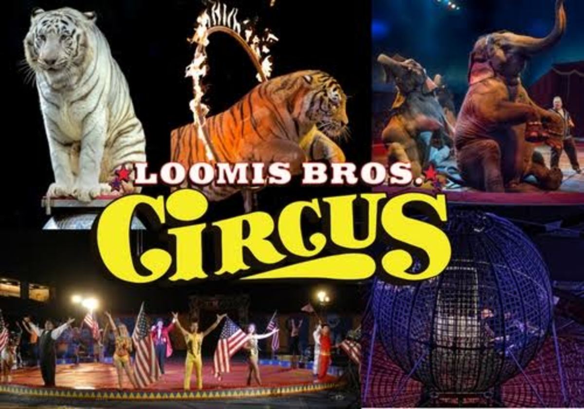 WorldRenouned Loomis Bros Circus to Perform in York Macaroni KID