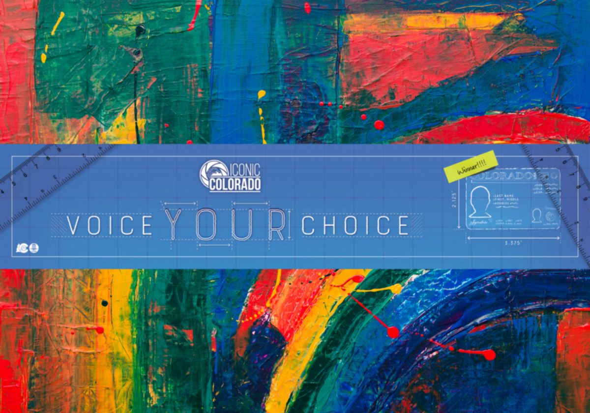Voice Your Choice, Vote for Colorado's New License