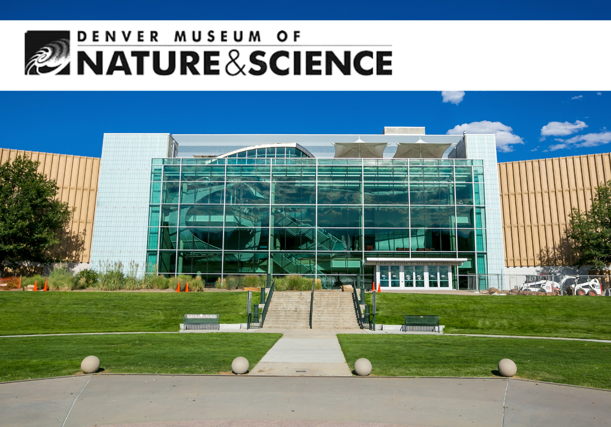 Mazes and Brain Games at the Denver Museum of Nature and Science