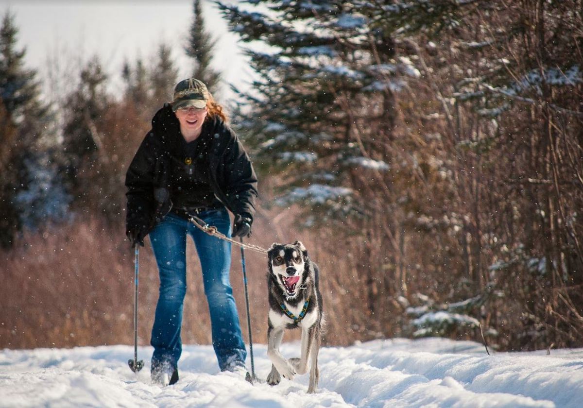 family-travel-with-fido-pet-friendly-ski-resorts-macaroni-kid-family