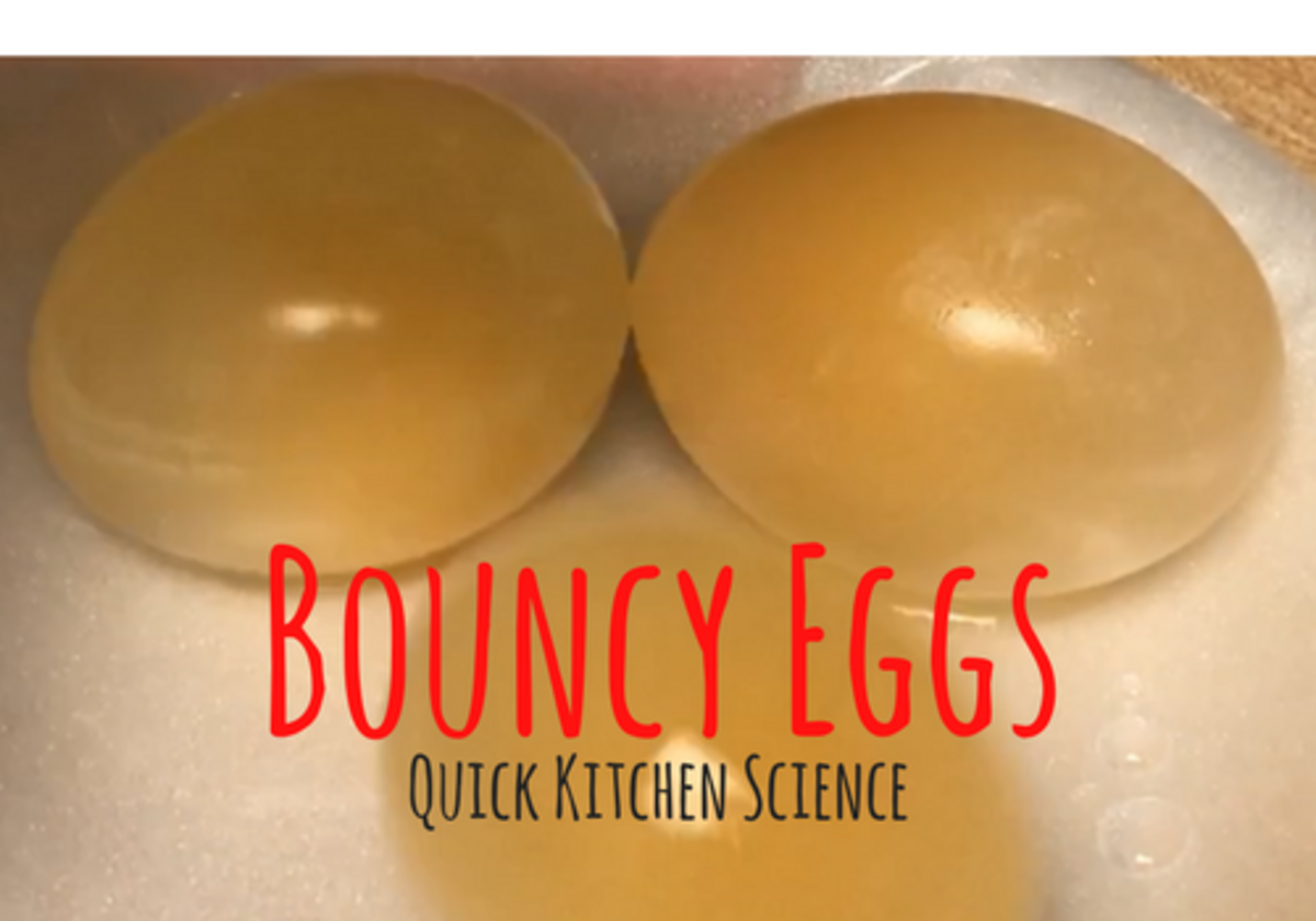 Quick Kitchen Science - Bouncy Egg Experiment | Macaroni KID Boise