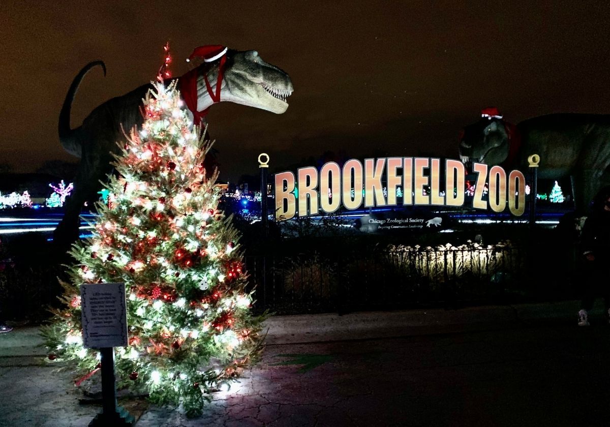 Brookfield Zoo Holiday Lights Schedule Shelly Lighting