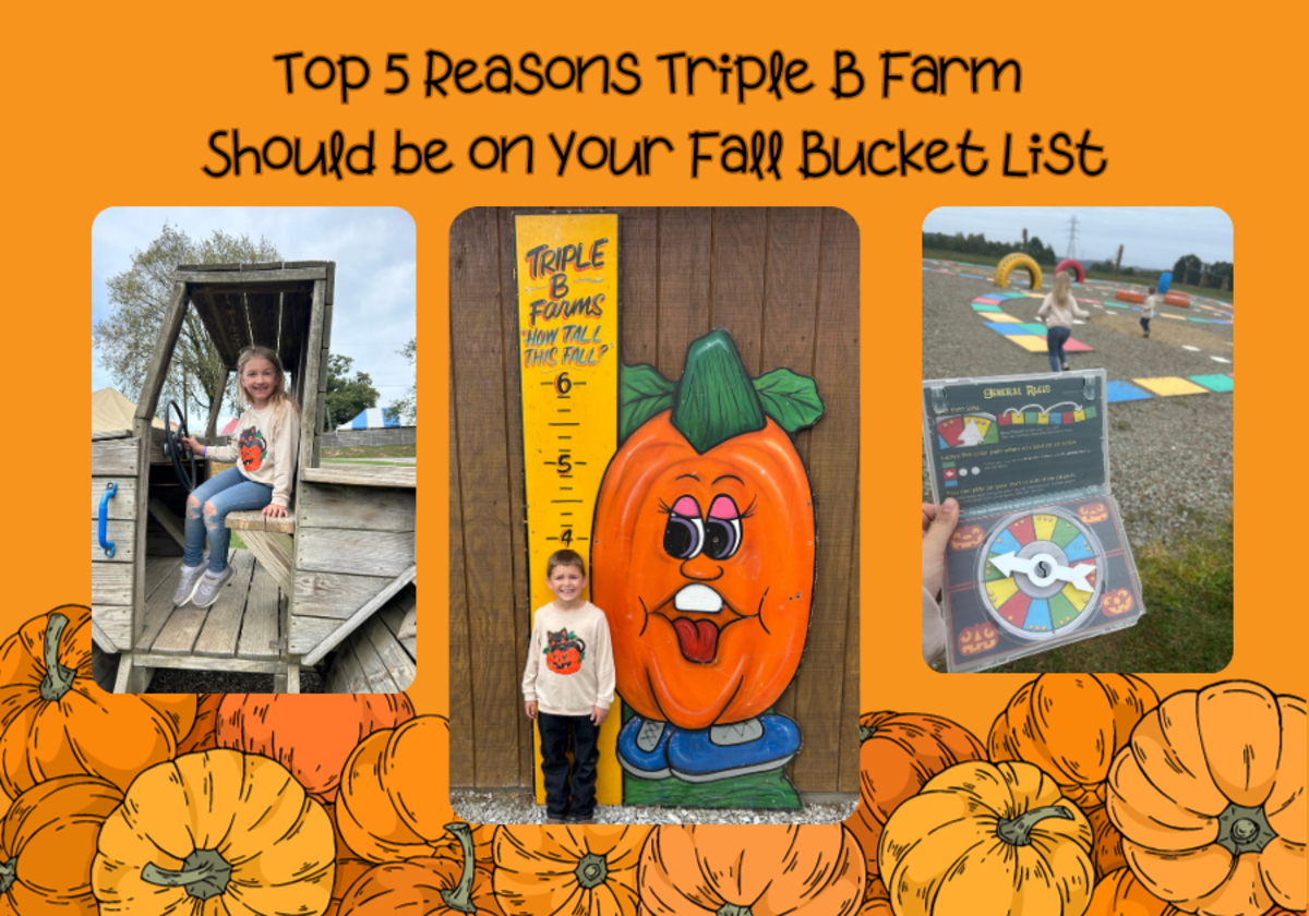 Top 5 Reasons Triple B Farms Should Be On Your Fall Bucket List ...