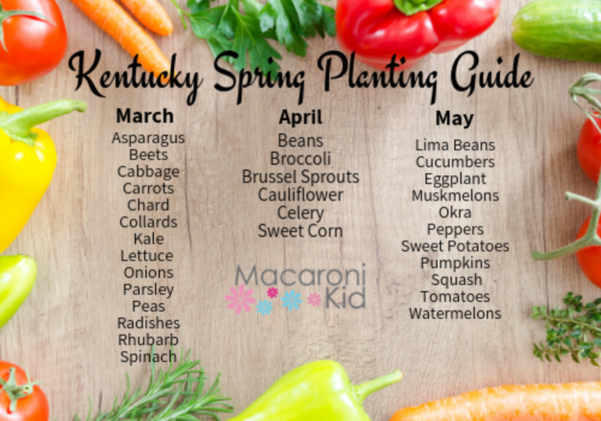 Kentucky Spring Planting Guide Macaroni KID OwensboroHenderson