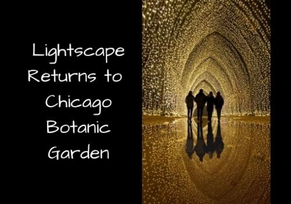 Lightscape Returns To Chicago Botanic Garden For 2020 Holiday Season Macaroni Kid Skokie Niles Park Ridge Far Northwest Chicago