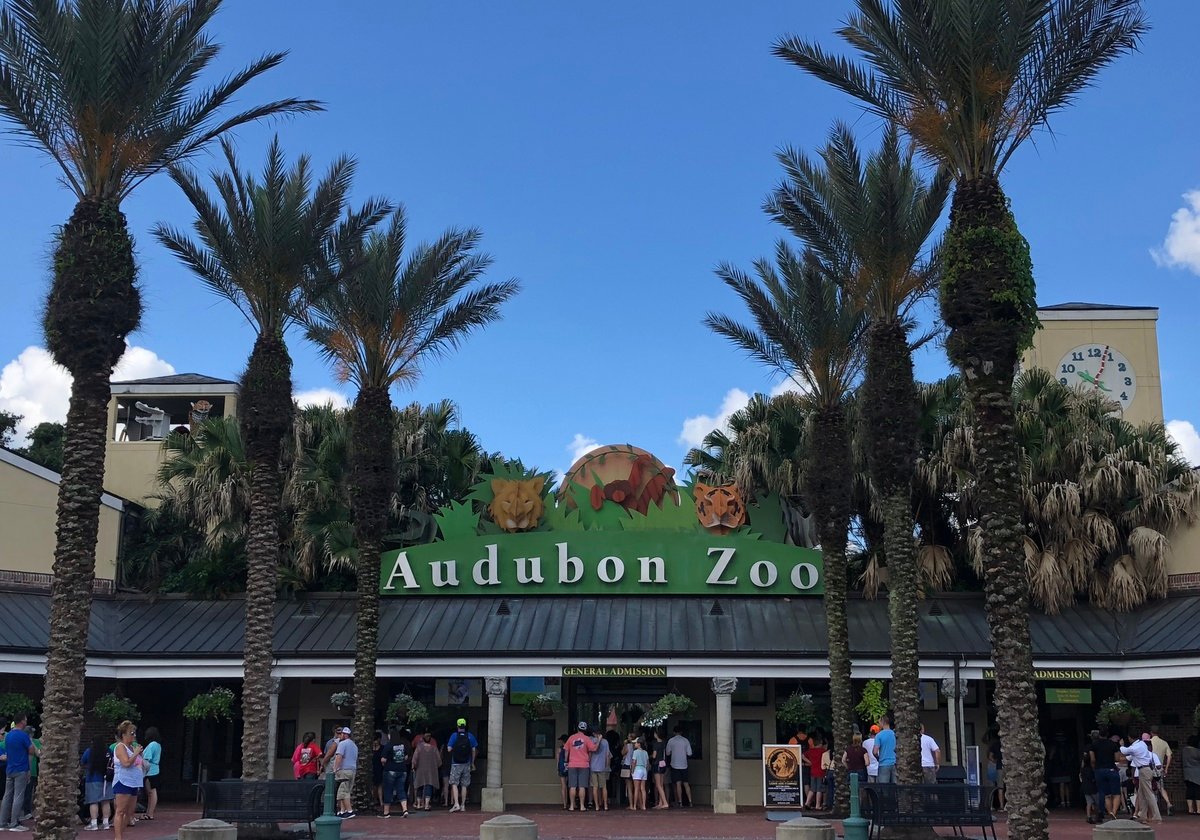 5 Reasons to Have Your Child's Birthday Party at Audubon Zoo | Macaroni ...