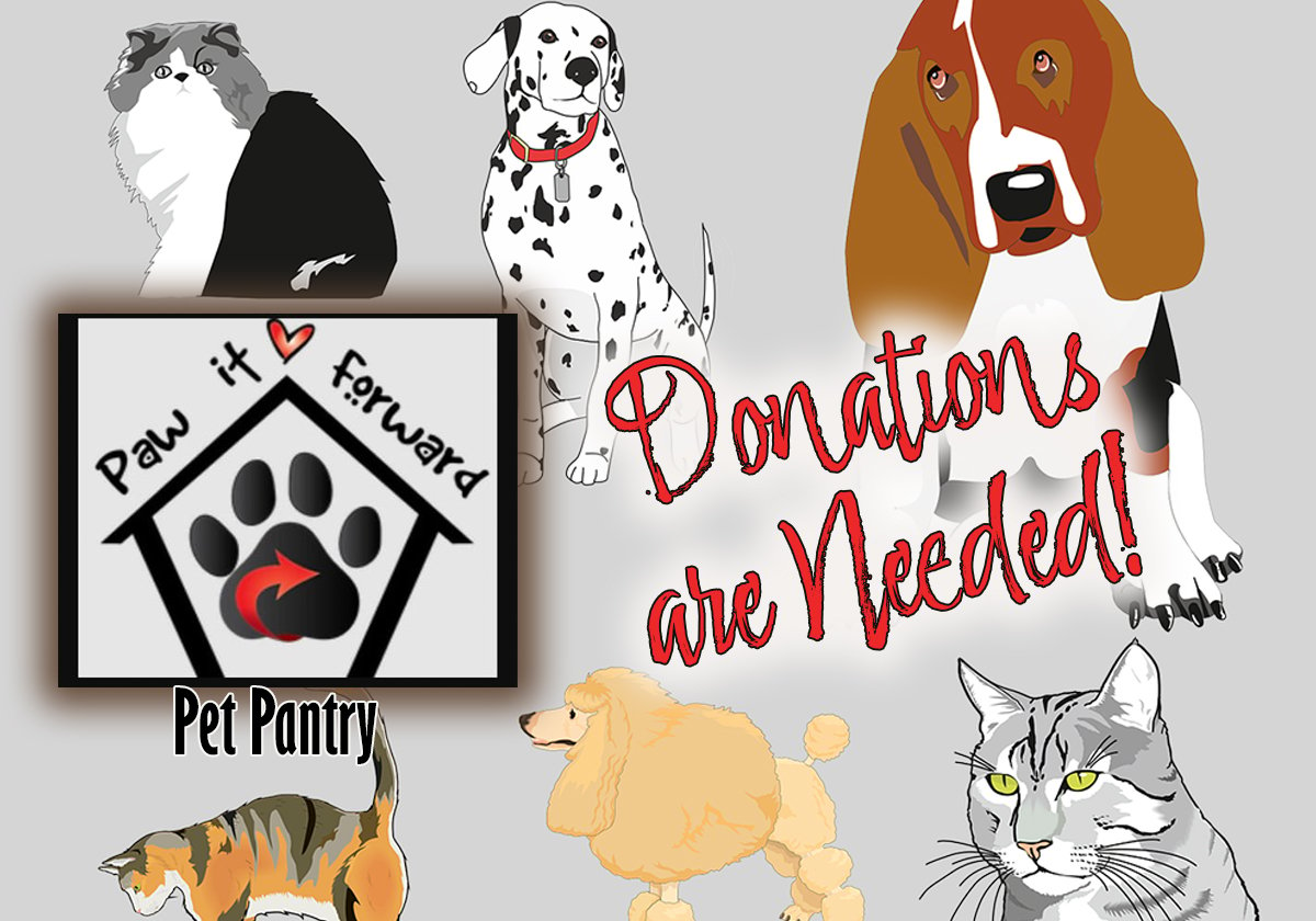 Paw It Forward Pet Pantry In Valley Stream Needs Donations Macaroni   5ea9c913 37de 49b7 8bcc 7def3437d717 