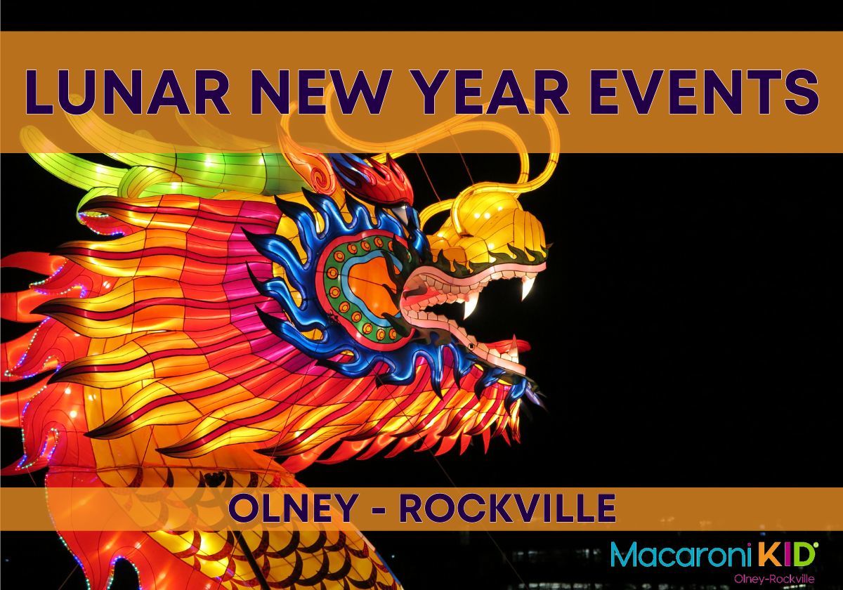 Lunar New Year Events 2024 Macaroni KID Olney Rockville