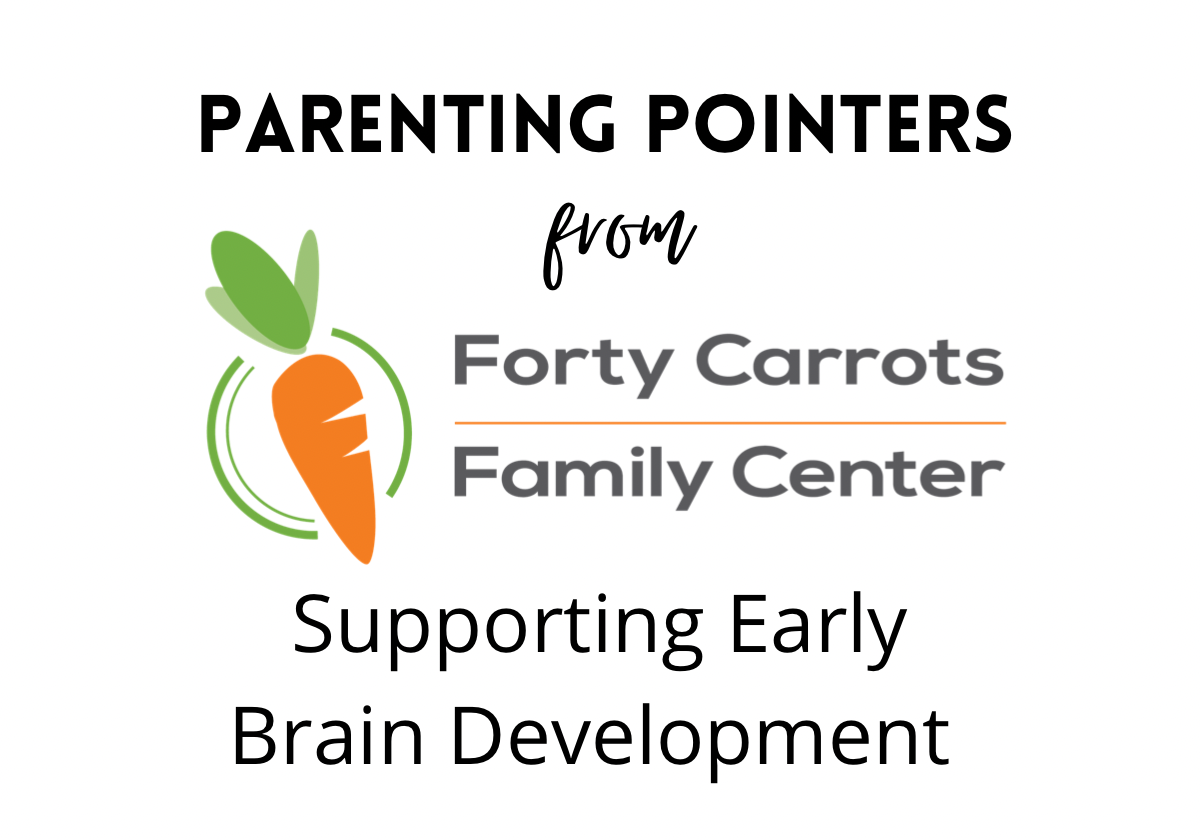 supporting-early-brain-development-macaroni-kid-sarasota-venice