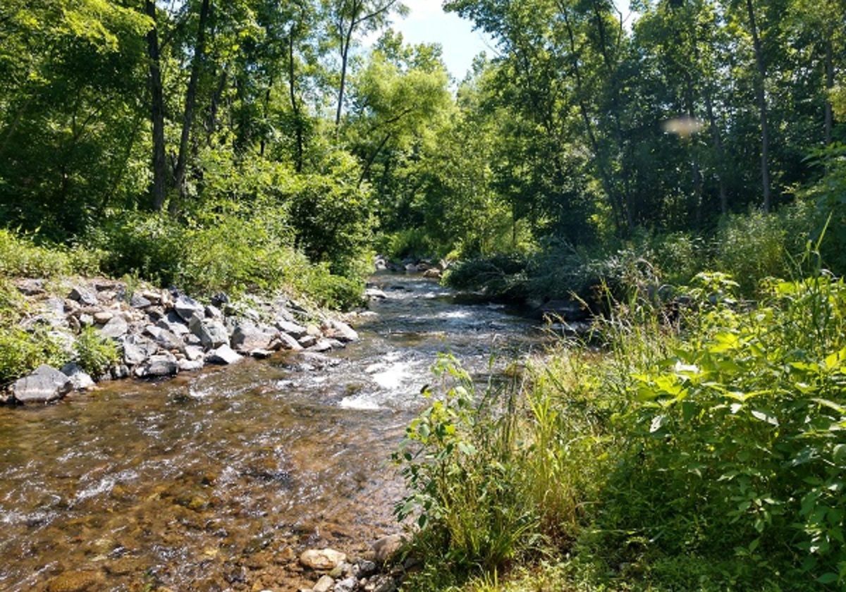 Summer Day Tripping Rockfish Valley Trails and Spruce Creek Park