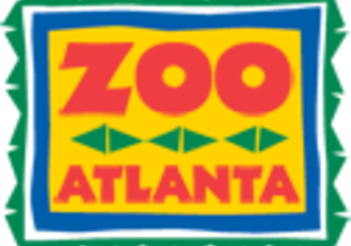 Zoo Atlanta opens Savanna Hall Macaroni KID Sandy SpringsDunwoody