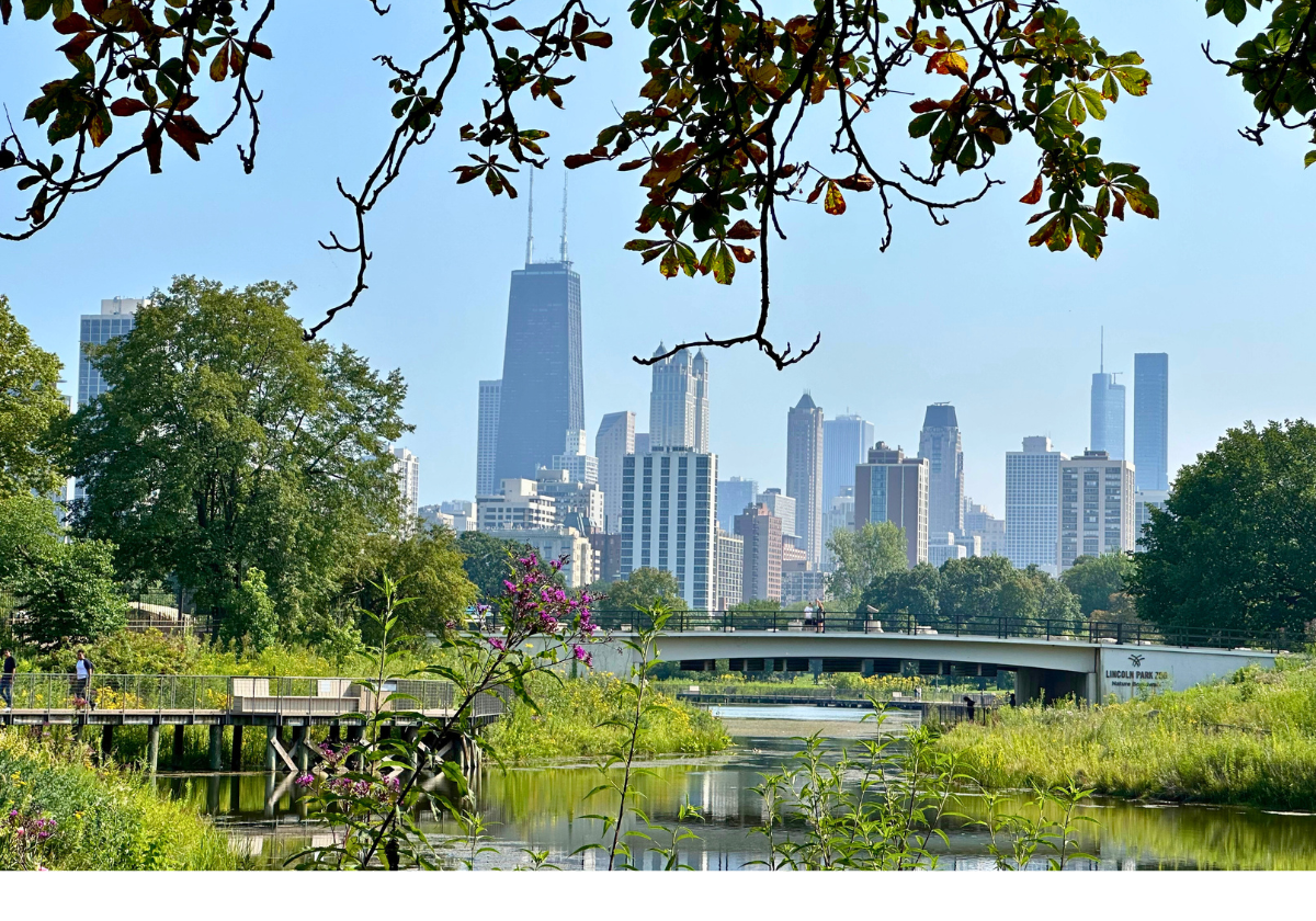 5-family-friendly-places-to-visit-on-your-next-trip-to-chicago