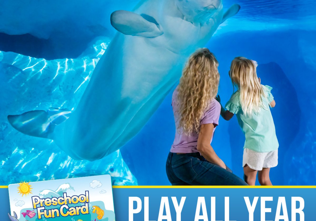 SeaWorld Offers FREE Park Admission to Teachers & Preschoolers in 2022