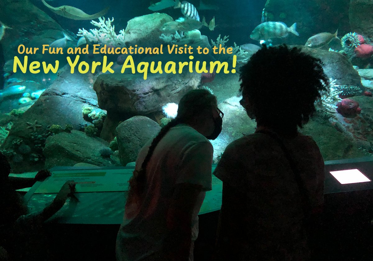 Brooklyn Cyclones - New York Aquarium