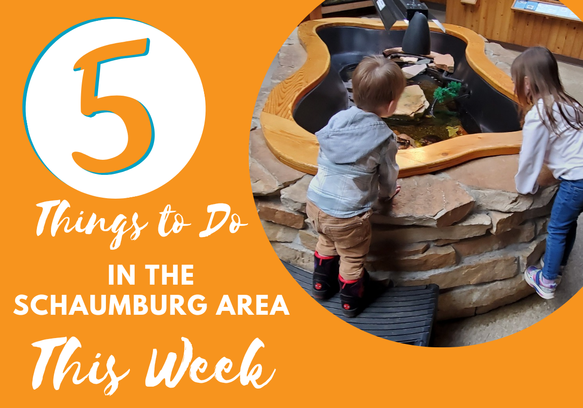 Top 5 Things To Do In the Schaumburg Area With Kids This Week ...