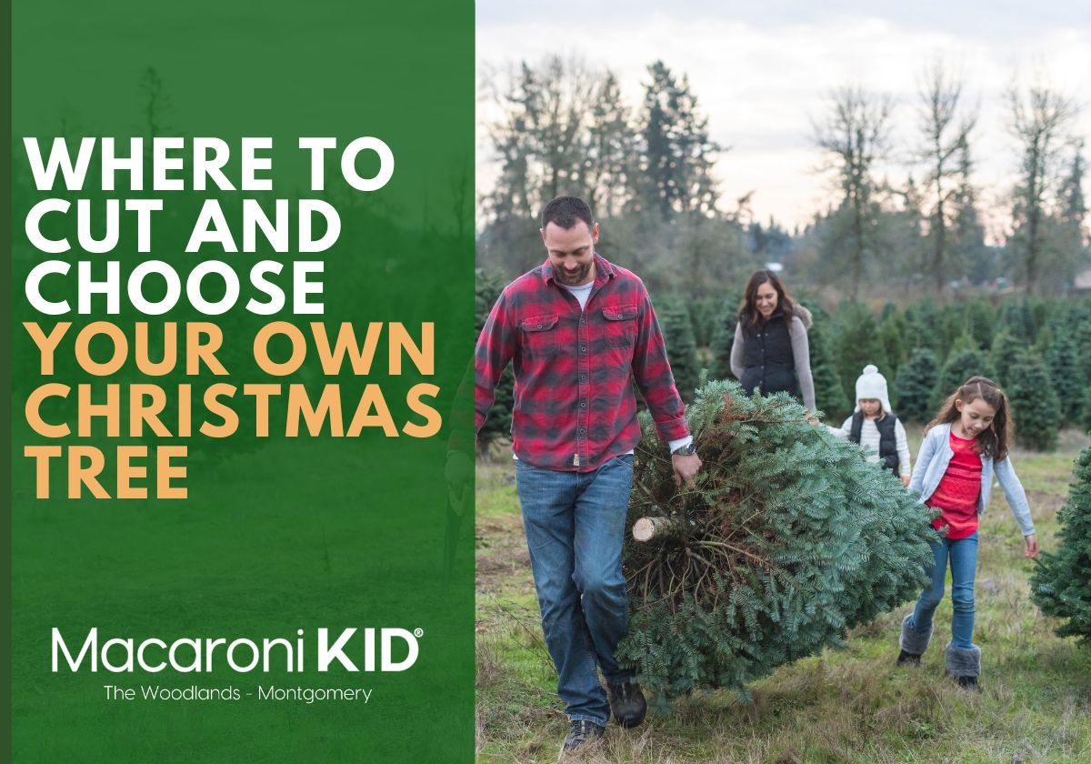 2024 Where to Cut and Choose Your Own Christmas Tree Near Houston