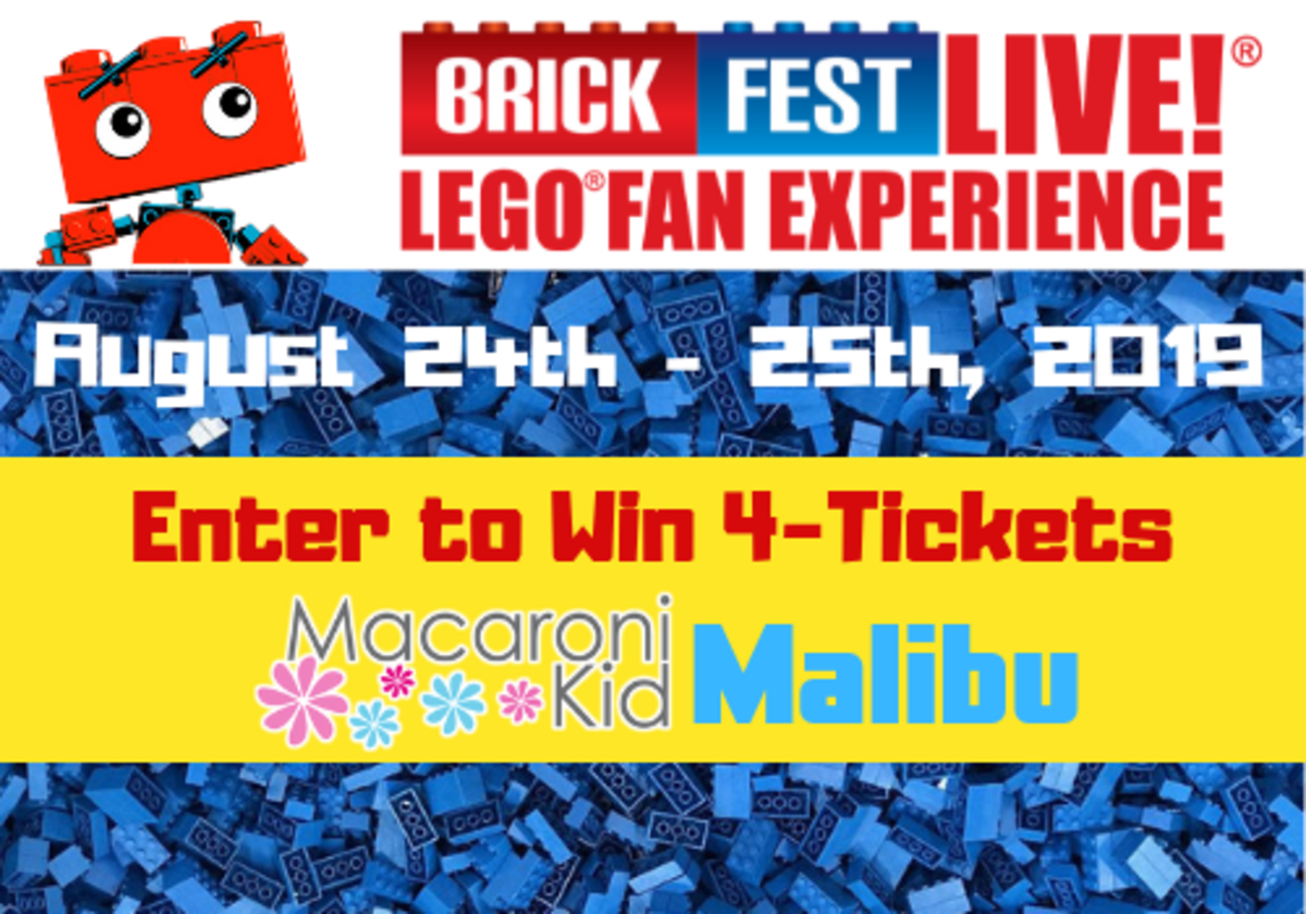 Brick fest 2024 live 2019