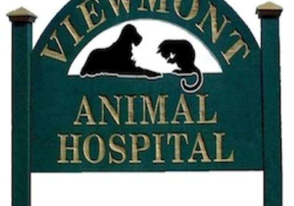 Viewmont Animal Hospital | Macaroni KID Hickory - Western Piedmont