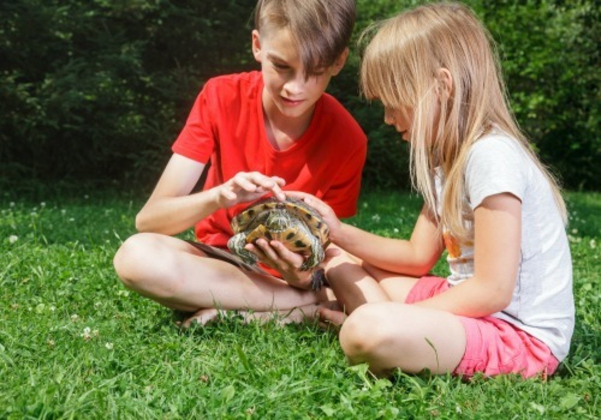 incoming-junior-zookeeper-meetings-at-miller-park-zoo-macaroni-kid