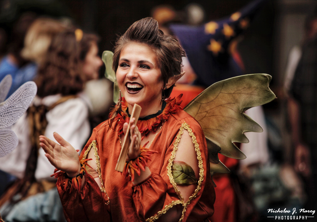 Minnesota Renaissance Festival - Did you know Bold North Vikings