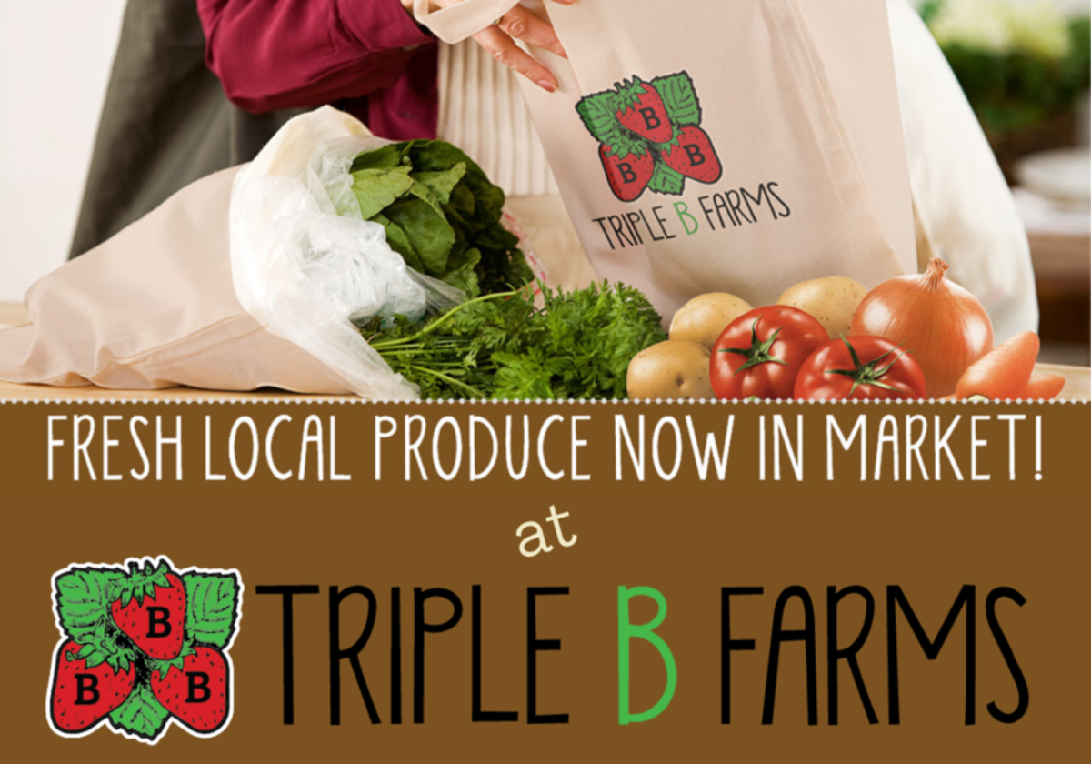 Fresh Local Produce In Triple B Farms Market | Macaroni KID Greater ...