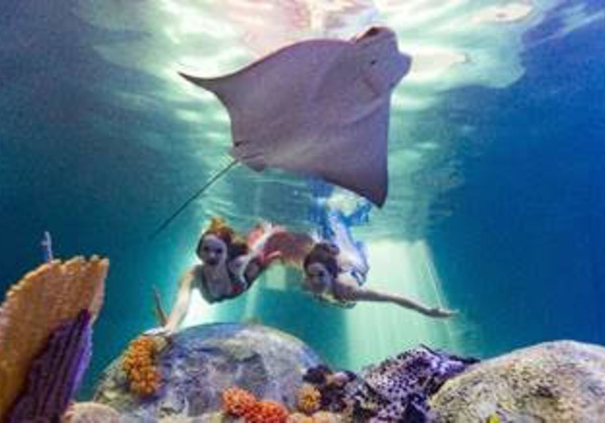 Mermaid Magic to Make a Big SPLASH at OdySea Aquarium
