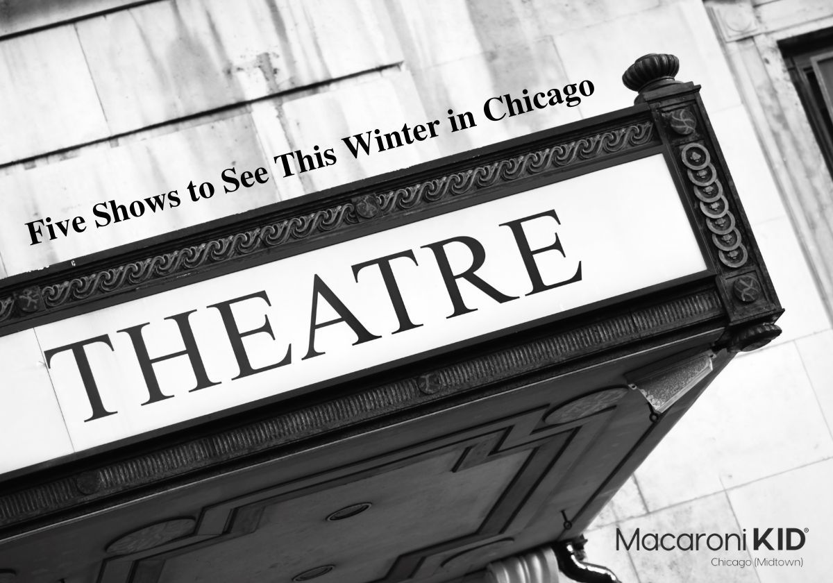 5-theatrical-performances-to-see-this-winter-in-chicago-macaroni-kid