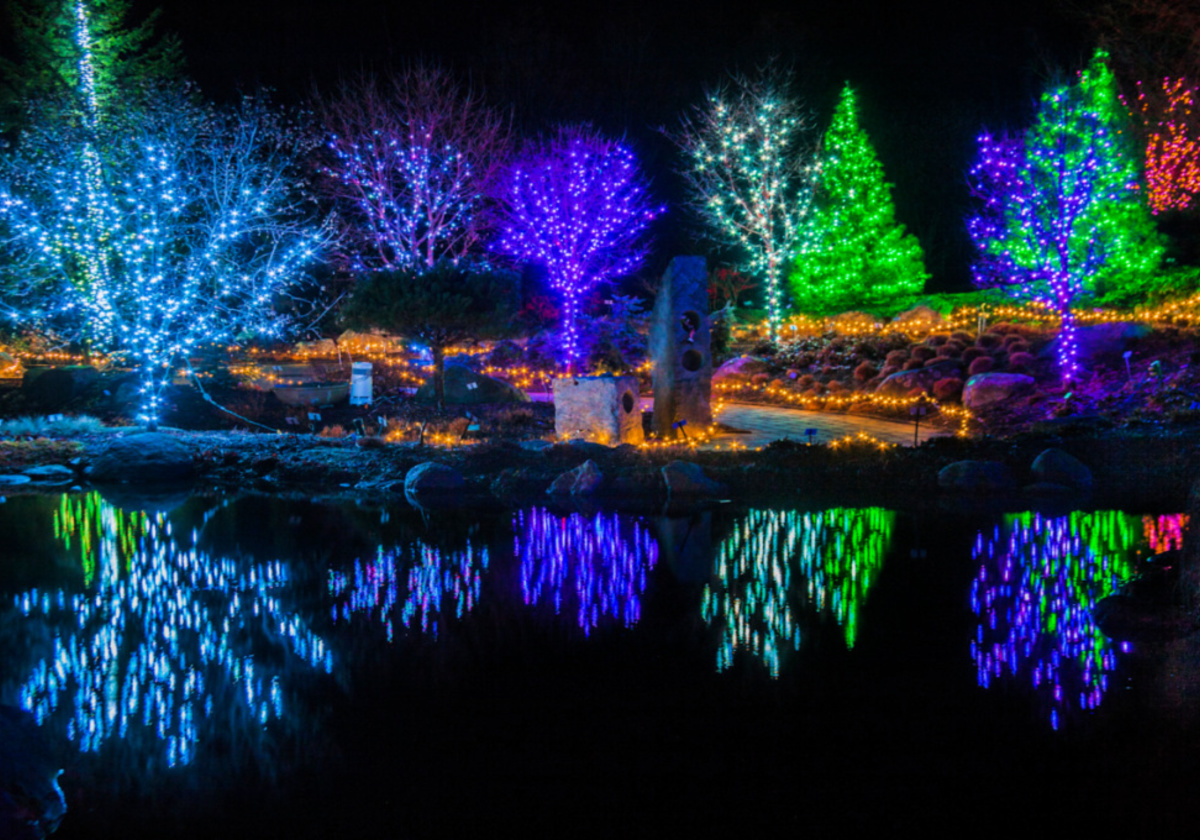 2020 Holiday Light Displays in and Around Naperville | Macaroni KID ...