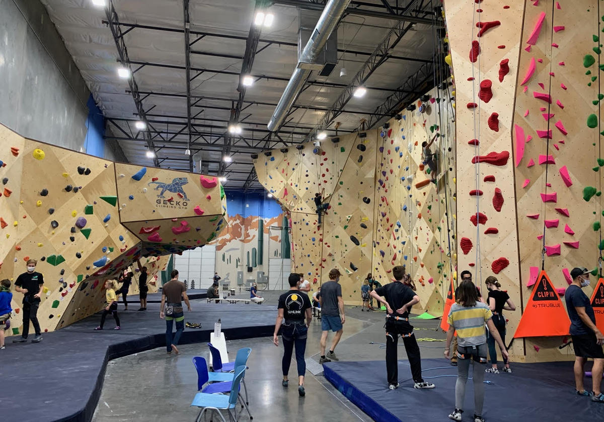 GECKO Climbing SHOP