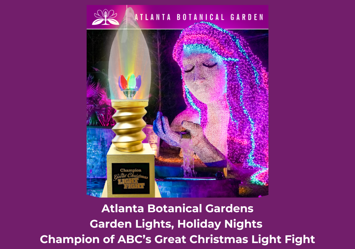 Atlanta Botanical Garden Wins ABC’s Great Christmas Light Fight