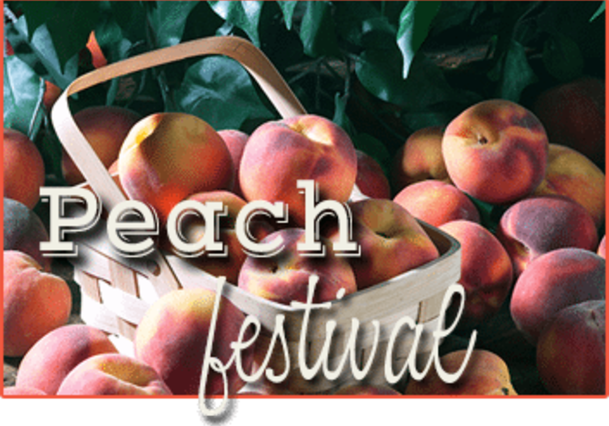 Paulus Mt. Airy Orchards Peach Festival Macaroni KID North York