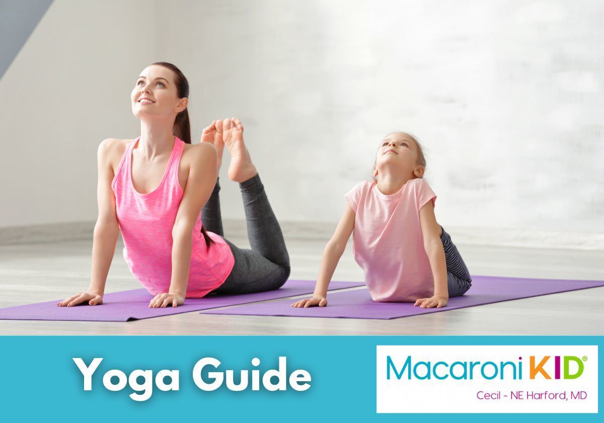 Find Your Zen: A Local Yoga Guide | Macaroni KID Cecil