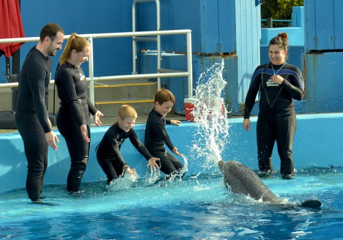 Dolphin Discovery - Six Flags Discovery Kingdom