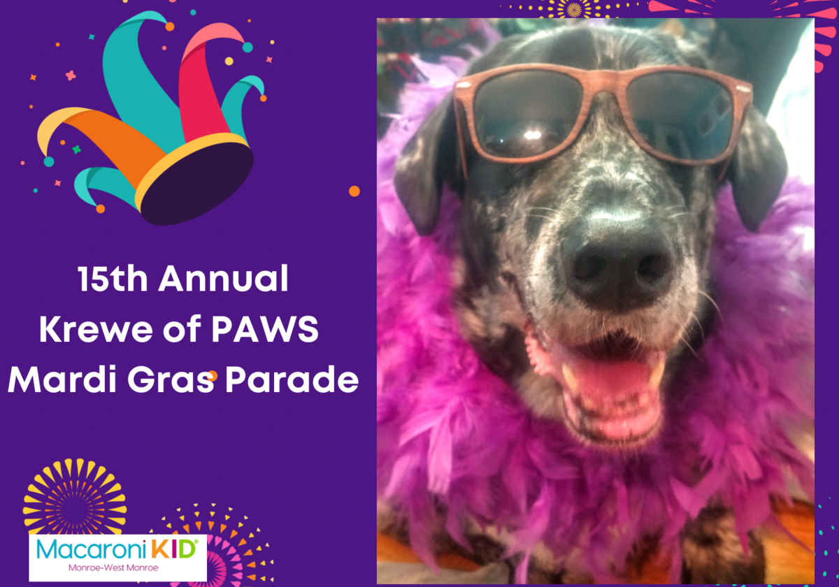 2022 Krewe of Paws Mardi Gras Pet Parade Fundraiser Macaroni KID