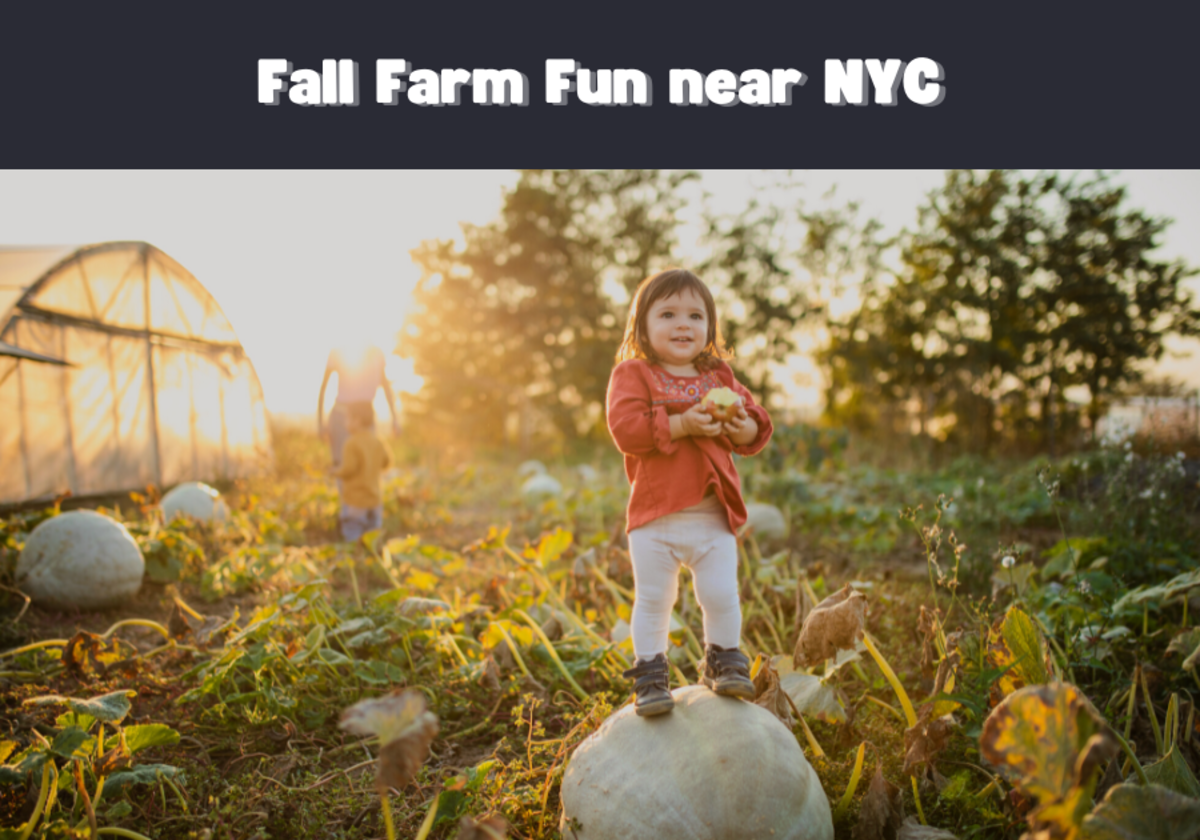 18 Best Farms To Go Apple Or Pumpkin Picking Near New York City