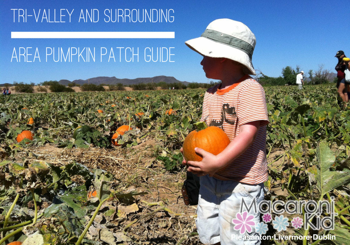 Local Pumpkin patches in the Tri-Valley and Surrounding areas | Macaroni  KID Pleasanton - Livermore - Dublin