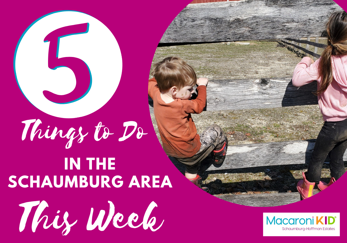 Top 5 Things To Do In the Schaumburg Area With Kids This Week ...