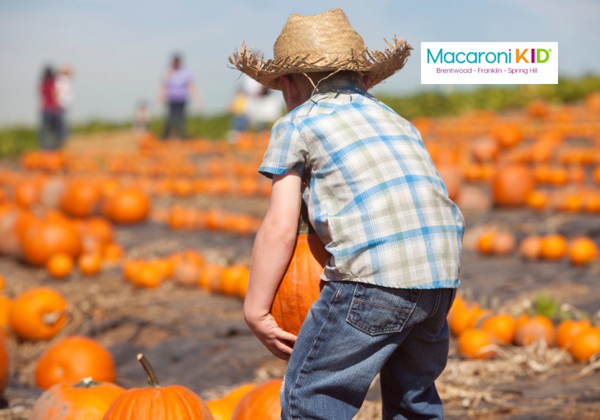 pumpkin patches in middle tennessee