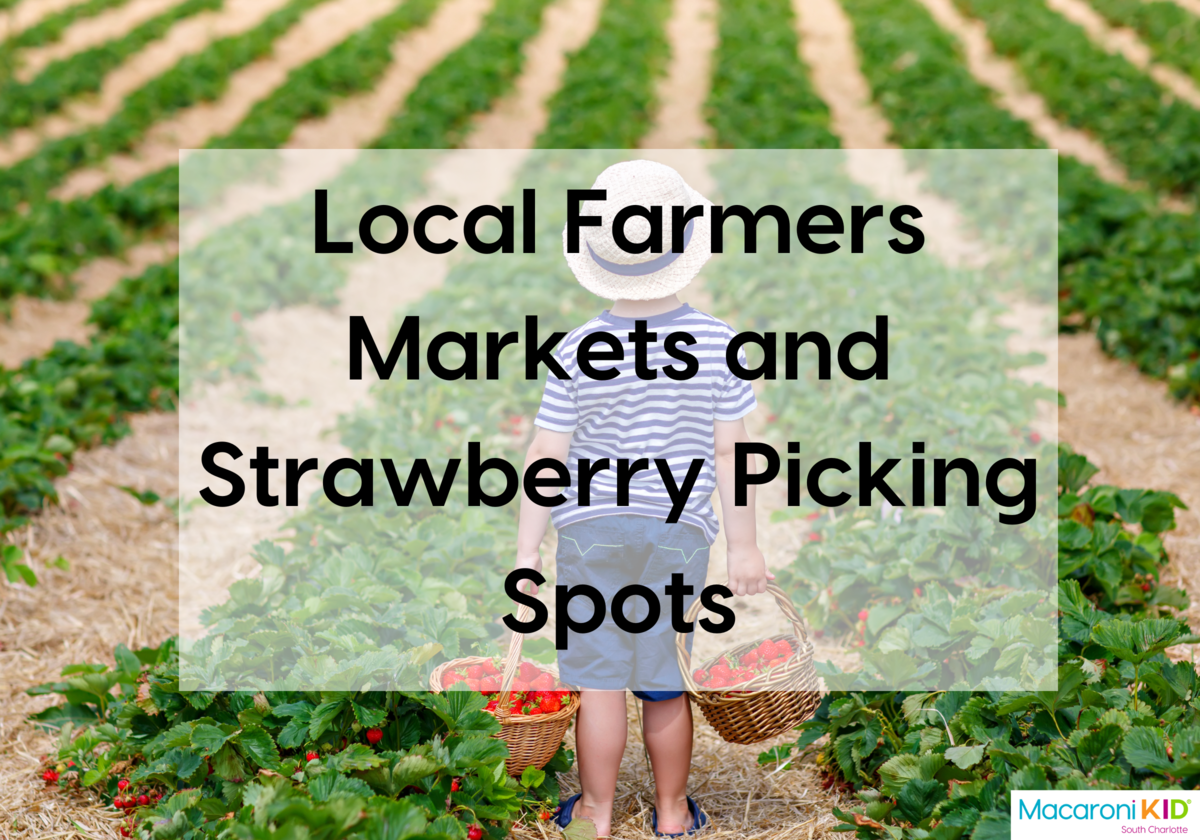 Local Farmers Markets & Strawberry Picking Spots 2024 | Macaroni KID ...