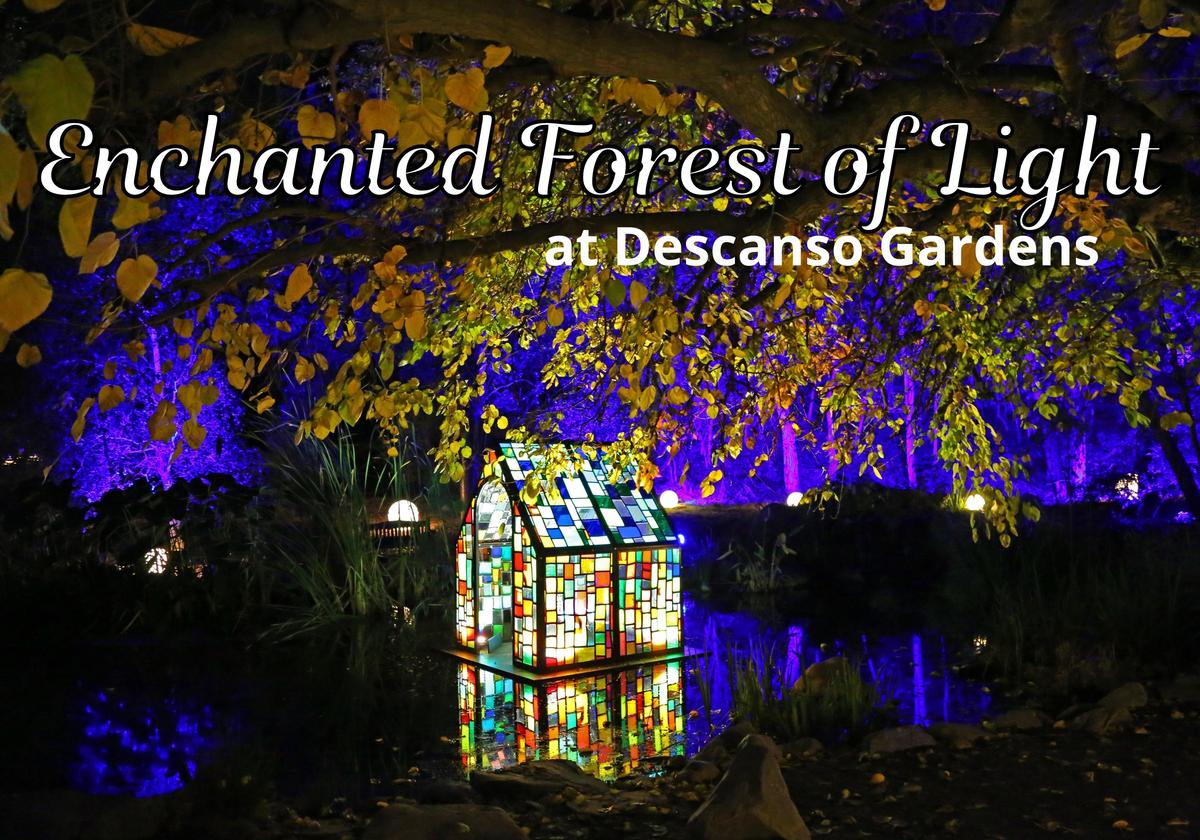 The Event - The Enchanted Forest