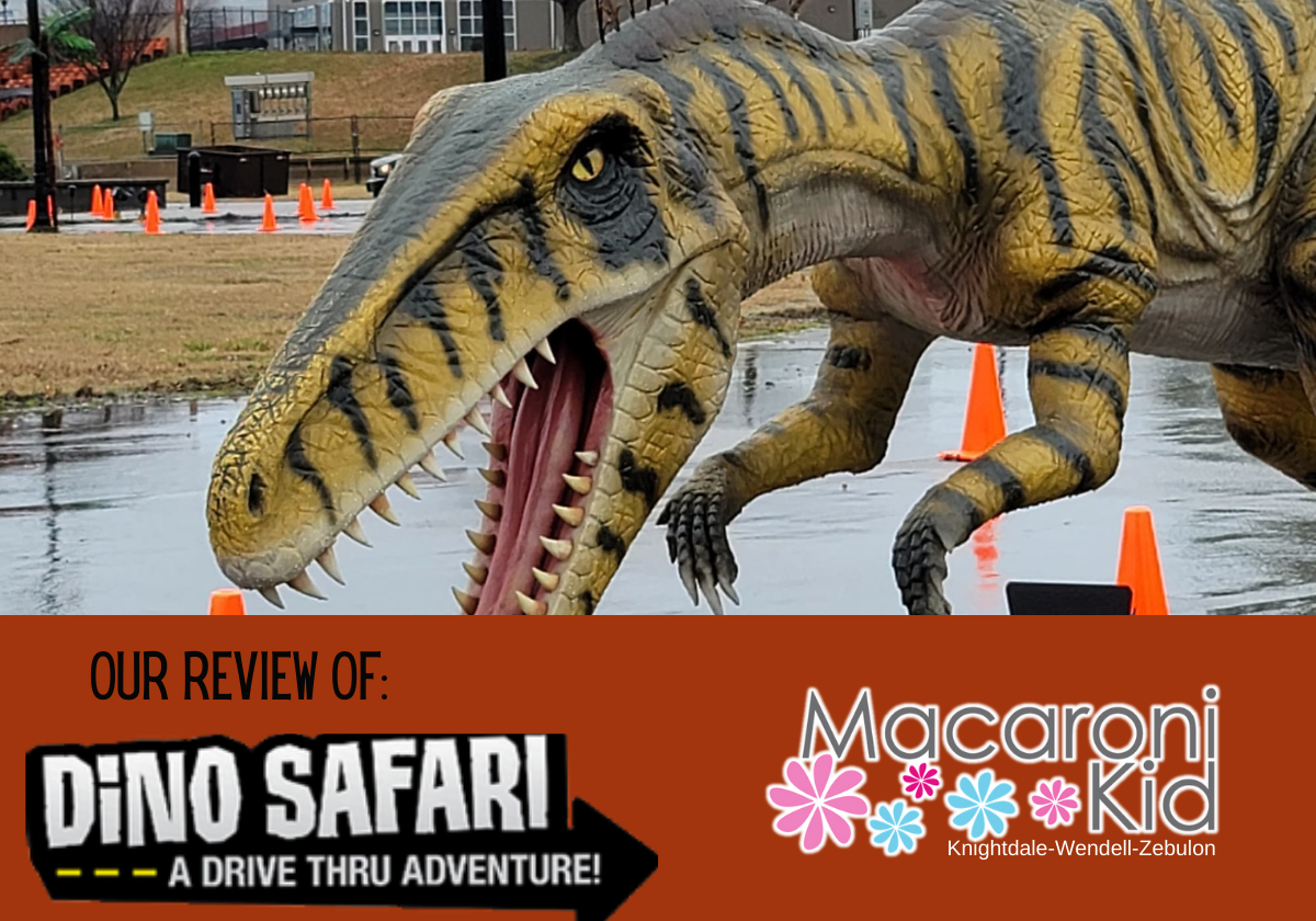 Our Review Of Dino Safari A Drive Thru Adventure Macaroni Kid Knightdale Wendell Zebulon