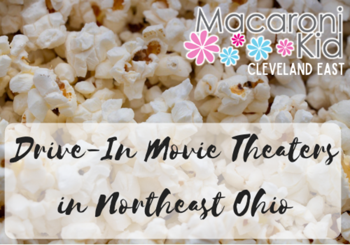 Drive In Movie Theaters In Northeast Ohio Macaroni Kid Cleveland East