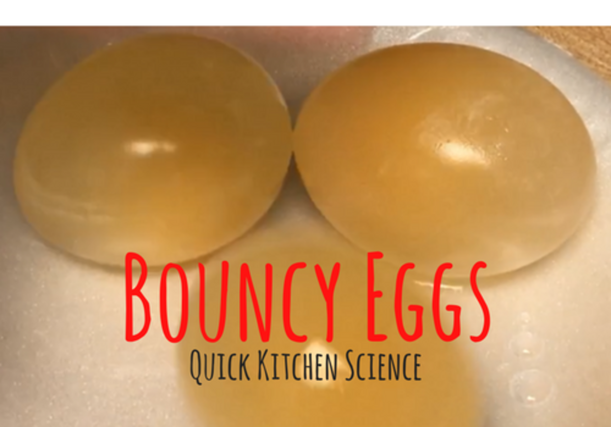 Quick Kitchen Science - Bouncy Egg Experiment | Macaroni Kid North York