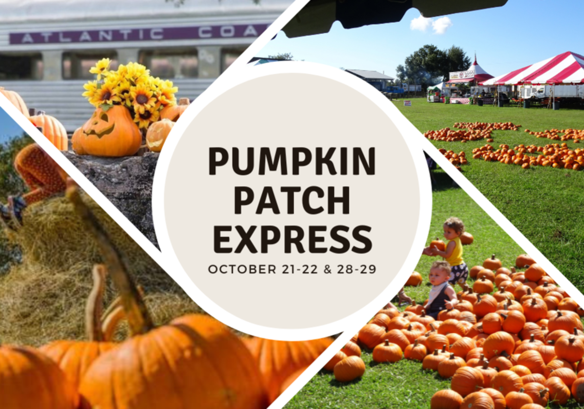 Win Tickets to the Pumpkin Patch Express Macaroni KID SarasotaVenice