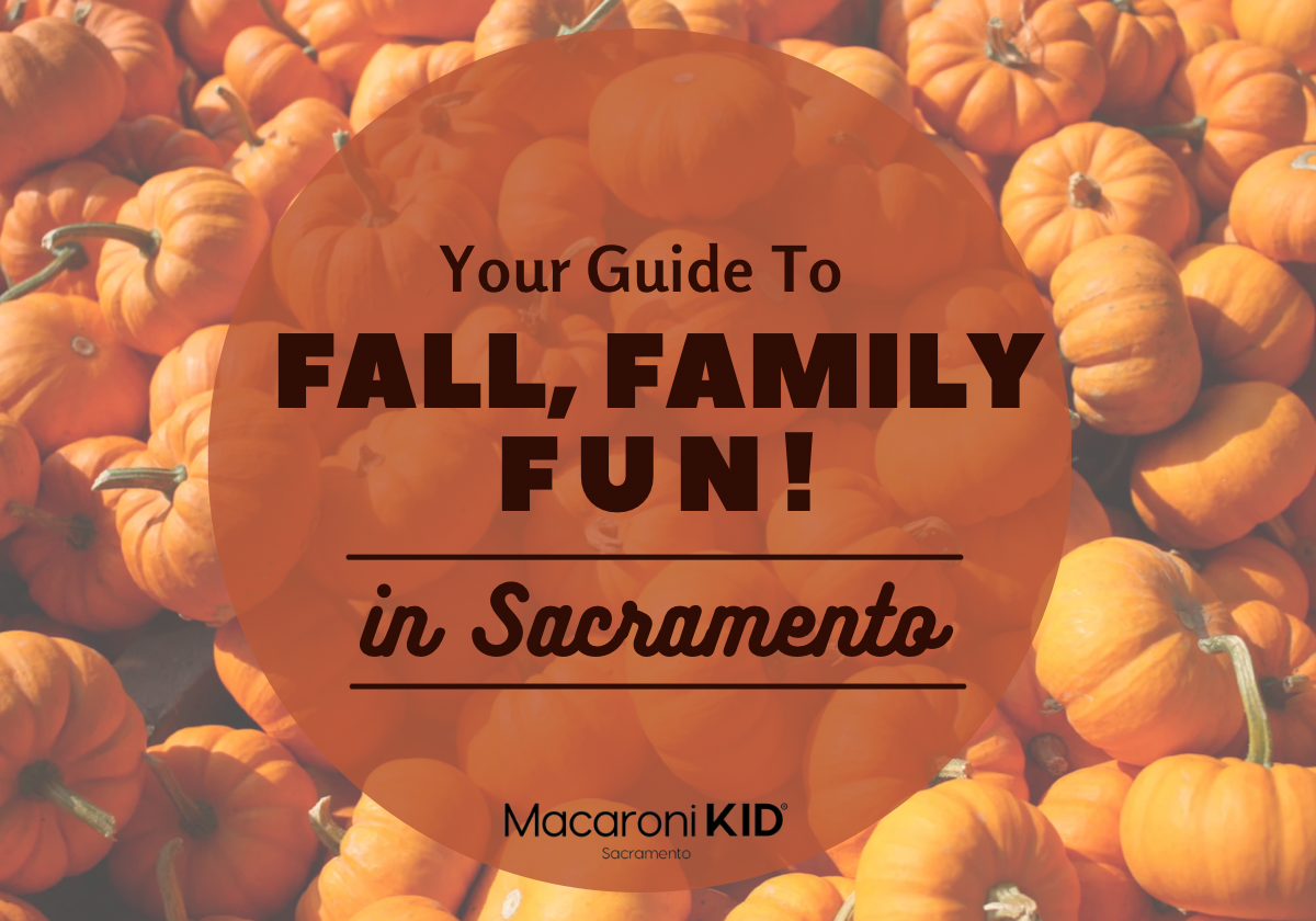 2023 Guide To Fall Fun In Sacramento