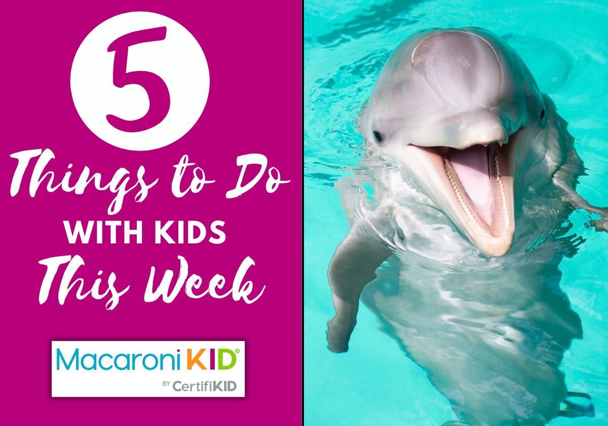 dolphins-drawing-and-dance-your-mackid-event-picks-for-simi-valley