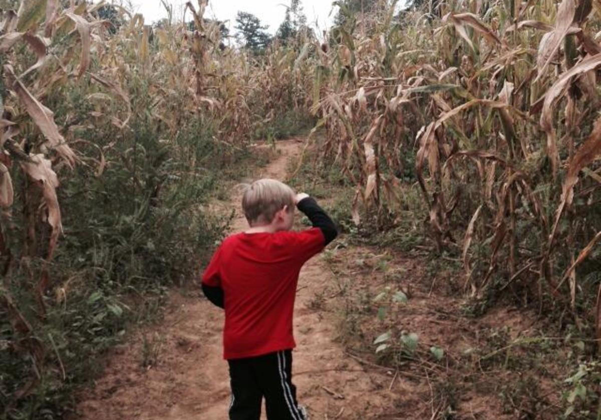 Apple Orchards, Pumpkin Patches & Corn Mazes galore! | Macaroni KID ...